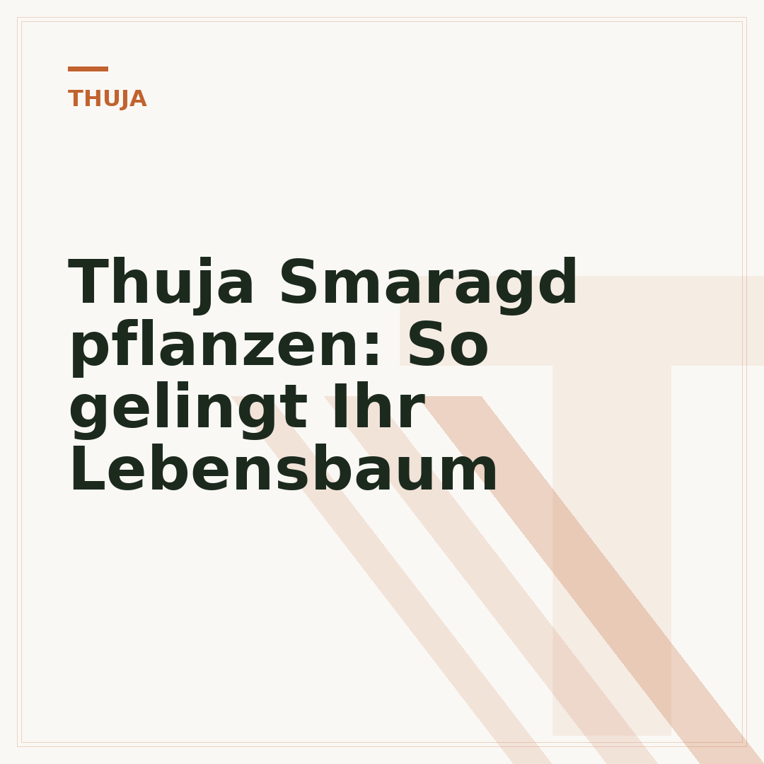 Thuja Smaragd pflanzen: So gelingt Ihr Lebensbaum