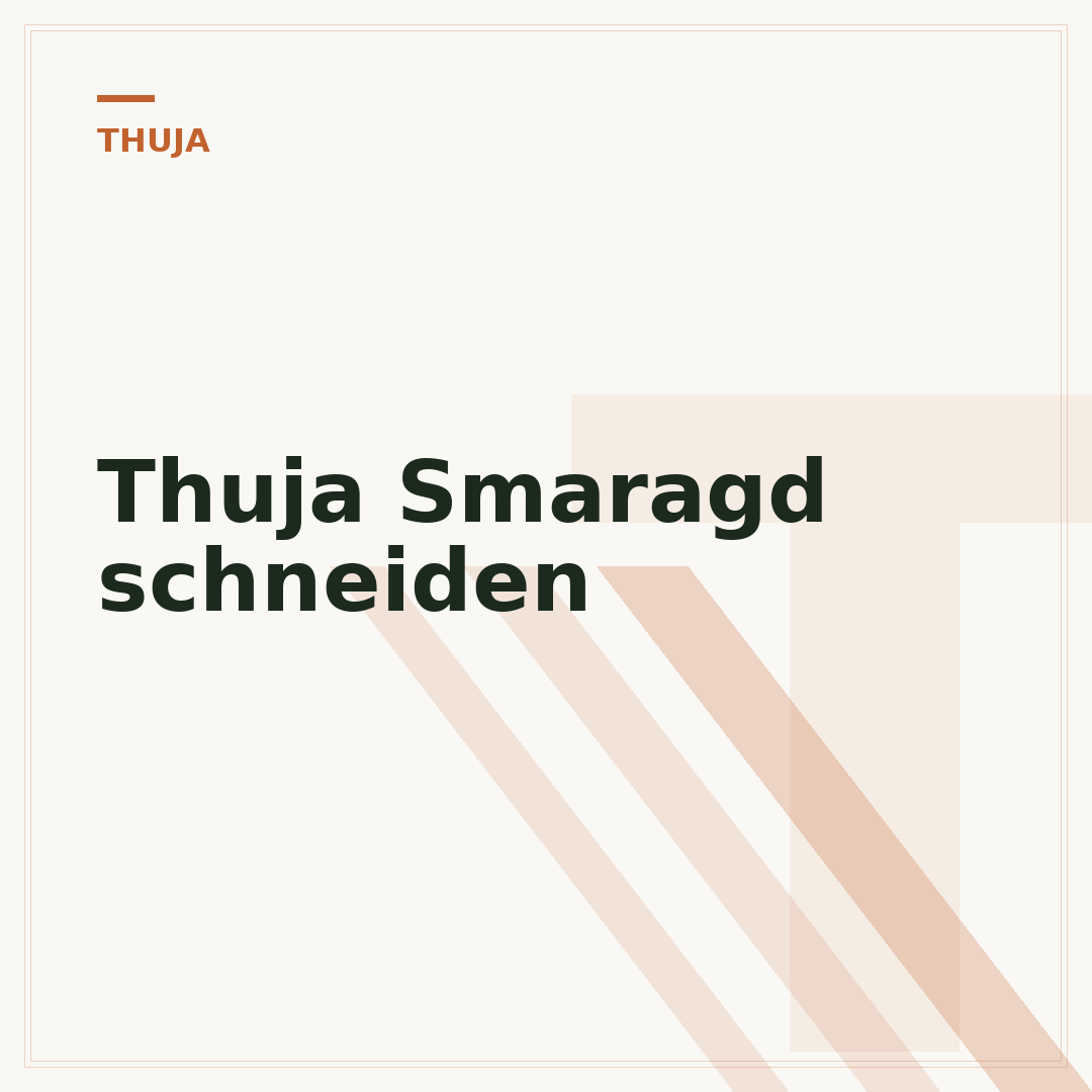 Thuja Smaragd schneiden
