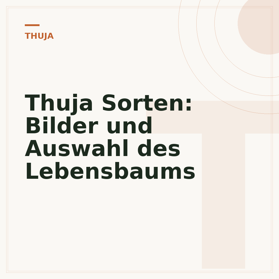 Thuja Sorten: Bilder und Auswahl des Lebensbaums
