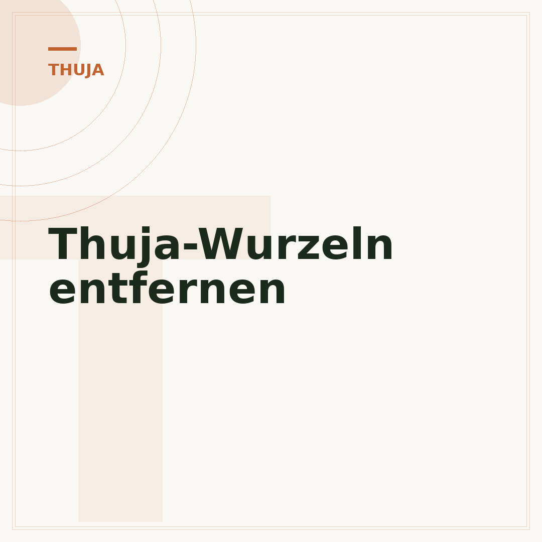 Thuja-Wurzeln entfernen