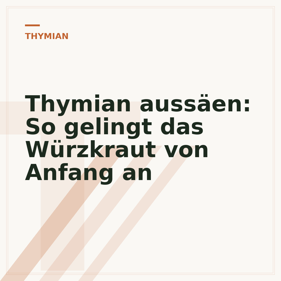 Thymian aussäen: So gelingt das Würzkraut von Anfang an