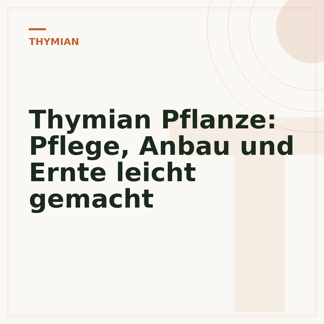 Thymian Pflanze: Pflege, Anbau und Ernte leicht gemacht