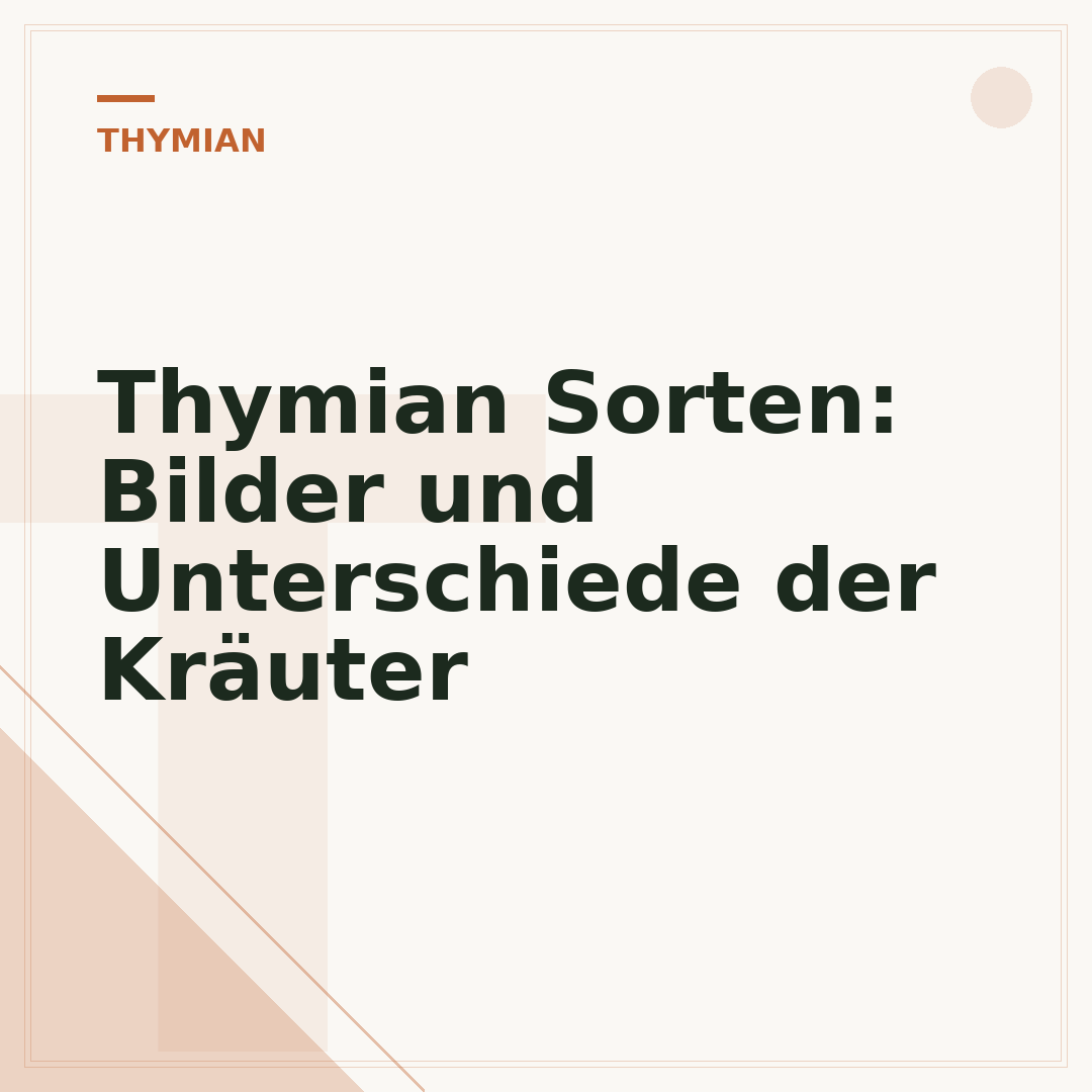 Thymian Sorten: Bilder und Unterschiede der Kräuter
