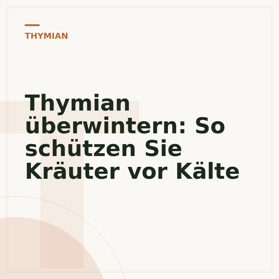 Thymian überwintern: So schützen Sie Kräuter vor Kälte