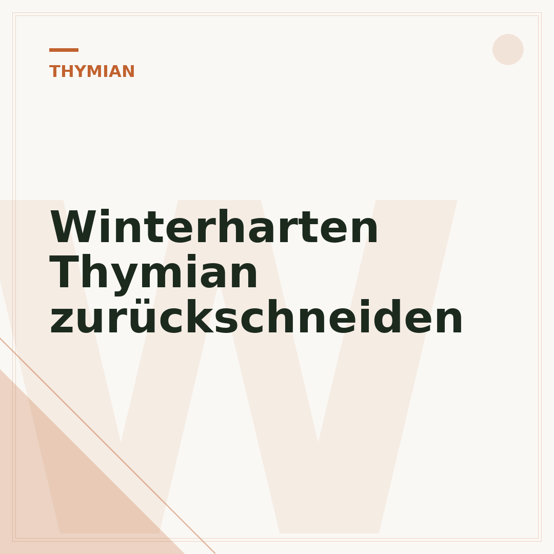 Winterharten Thymian zurückschneiden