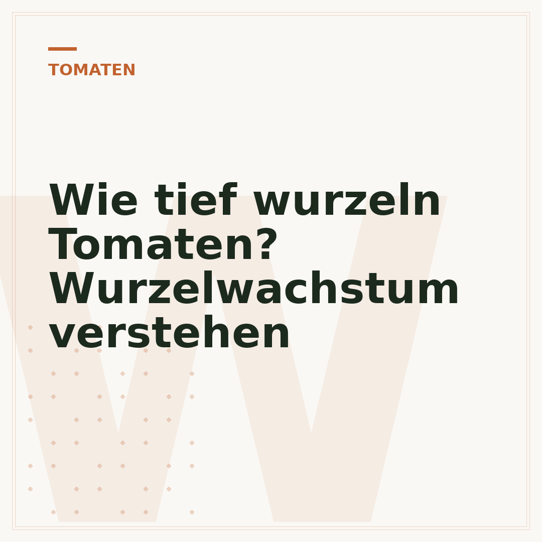 Wie tief wurzeln Tomaten? Wurzelwachstum verstehen