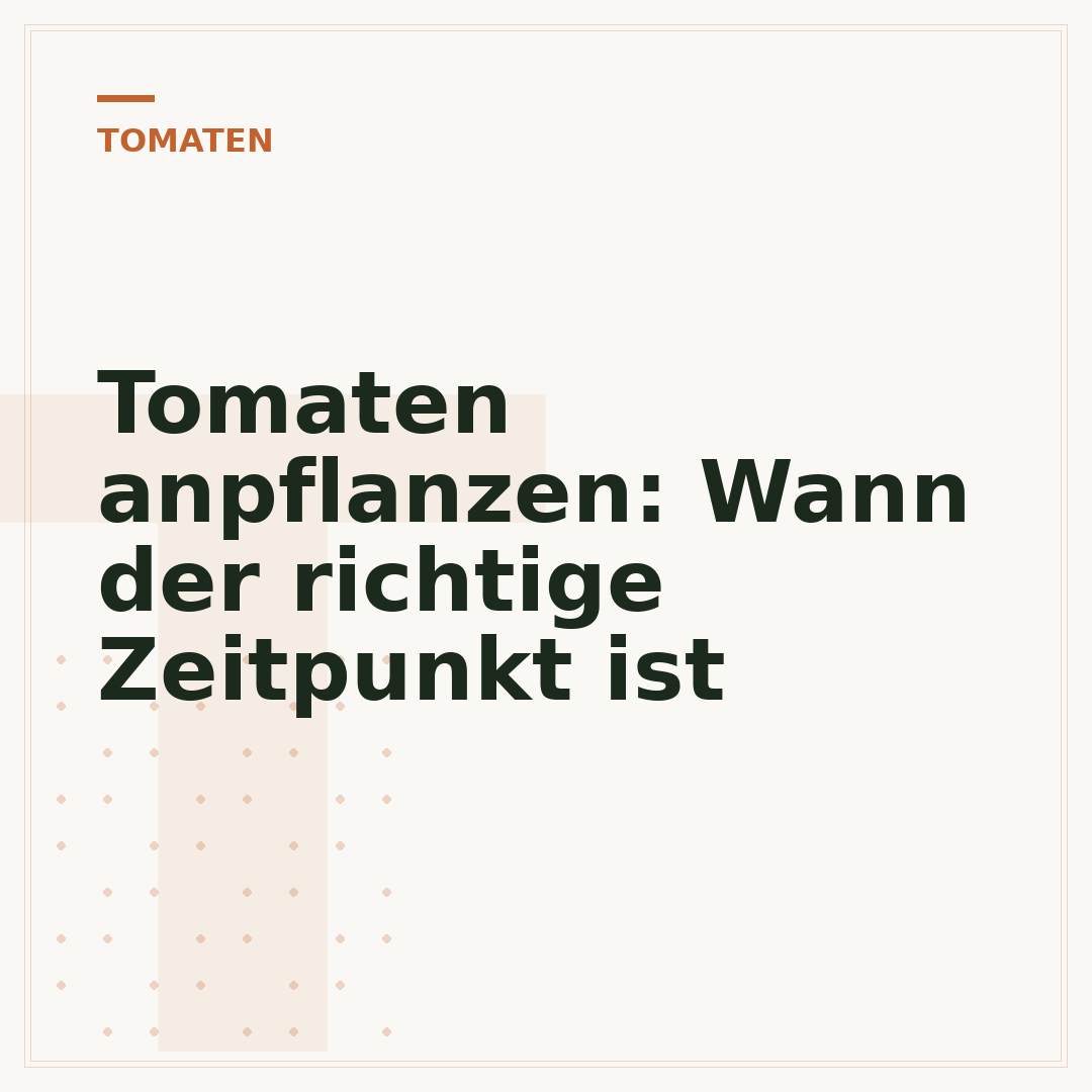 Tomaten anpflanzen: Wann der richtige Zeitpunkt ist