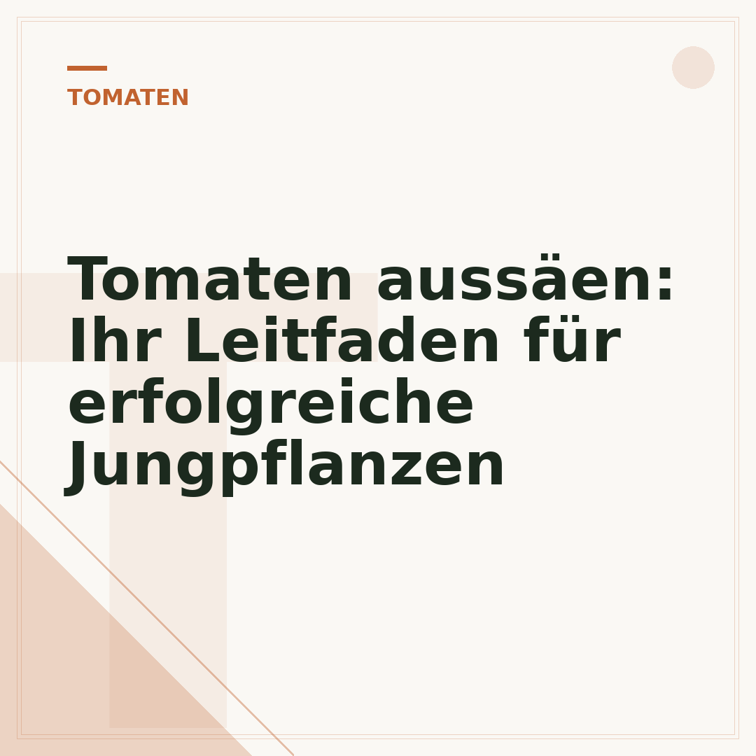 Tomaten aussäen: Ihr Leitfaden für erfolgreiche Jungpflanzen