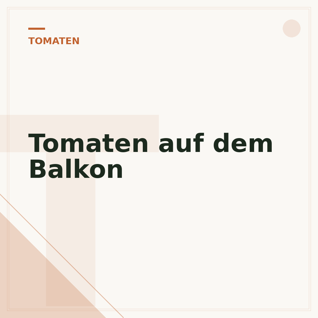 Tomaten auf dem Balkon