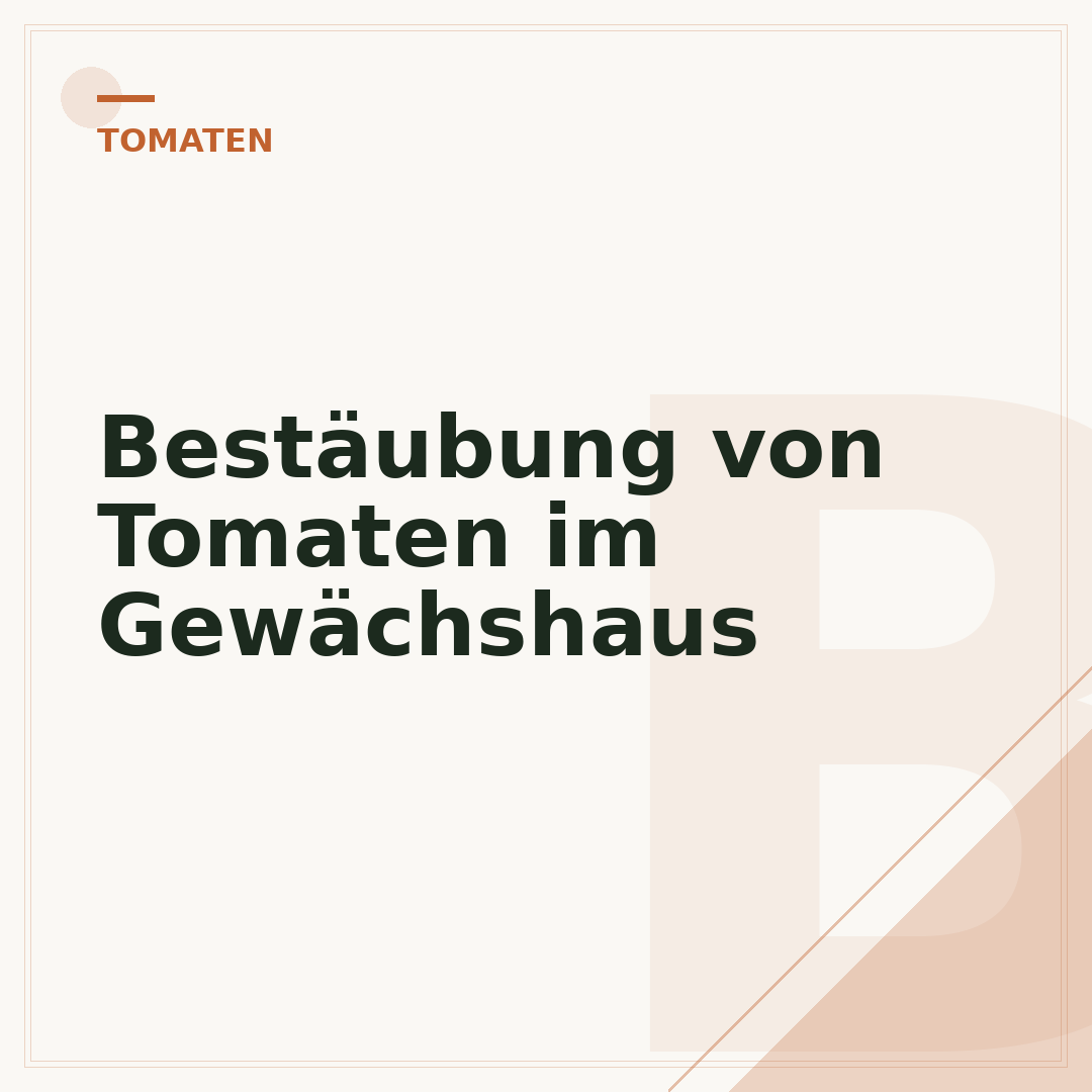 Bestäubung von Tomaten im Gewächshaus