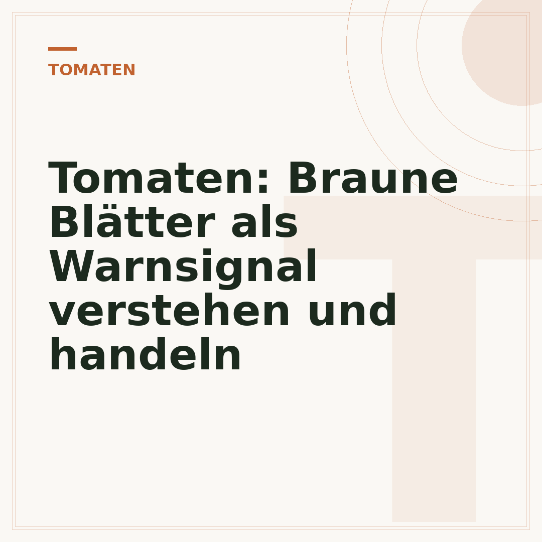 Tomaten: Braune Blätter als Warnsignal verstehen und handeln