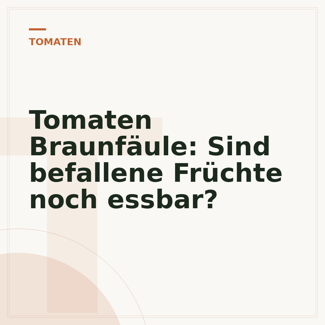 Tomaten Braunfäule: Sind befallene Früchte noch essbar?