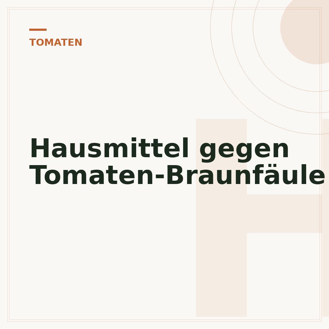 Hausmittel gegen Tomaten-Braunfäule