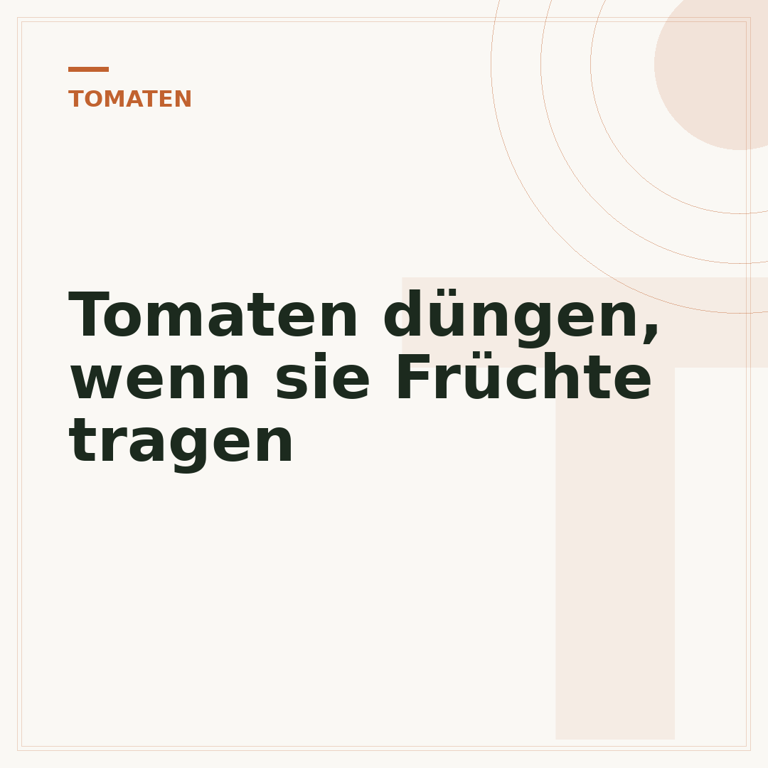 Tomaten düngen, wenn sie Früchte tragen