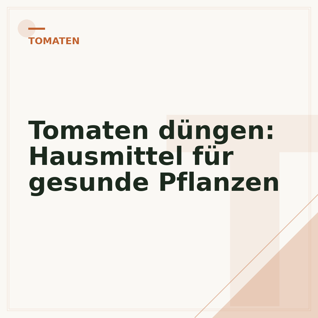 Tomaten düngen: Hausmittel für gesunde Pflanzen
