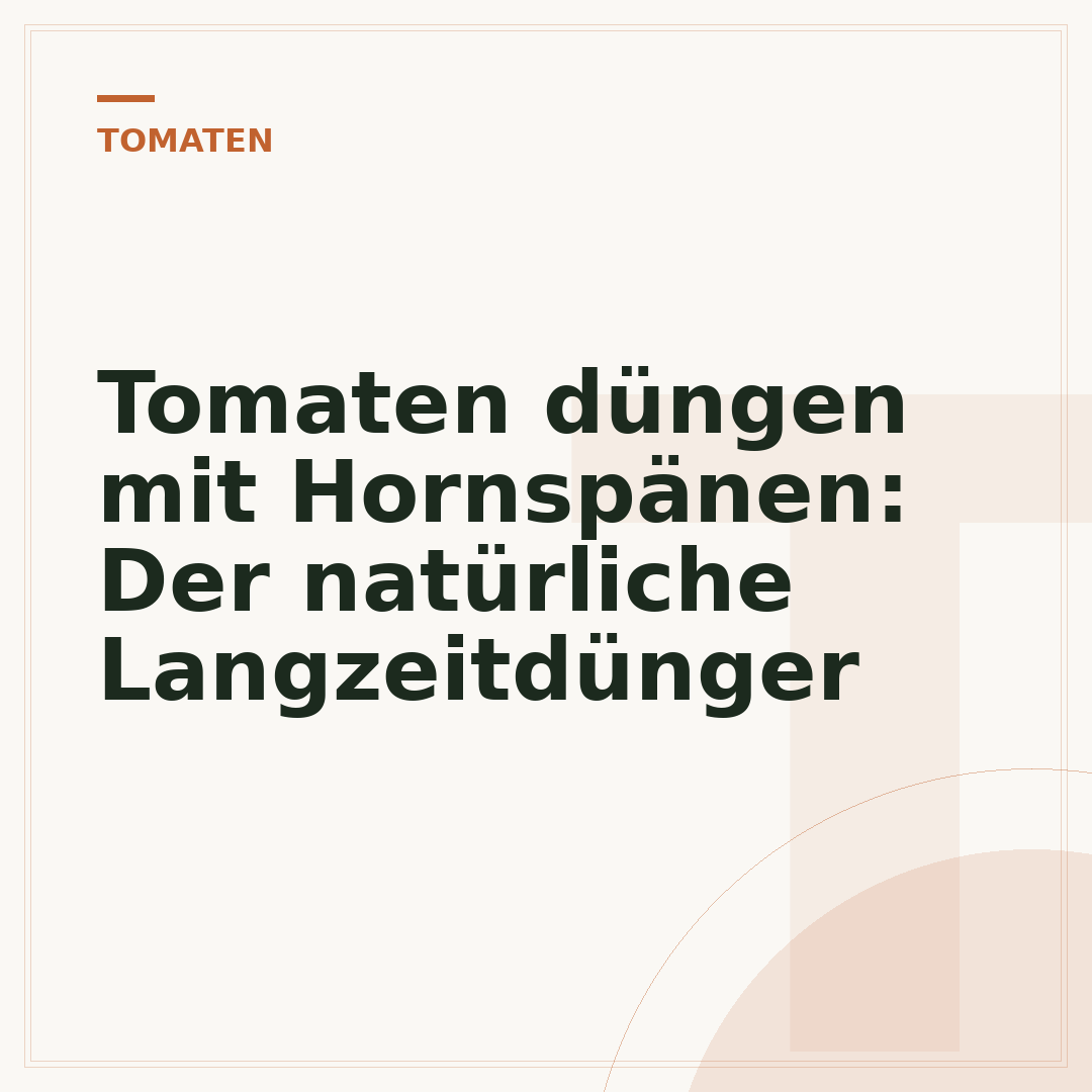 Tomaten düngen mit Hornspänen: Der natürliche Langzeitdünger