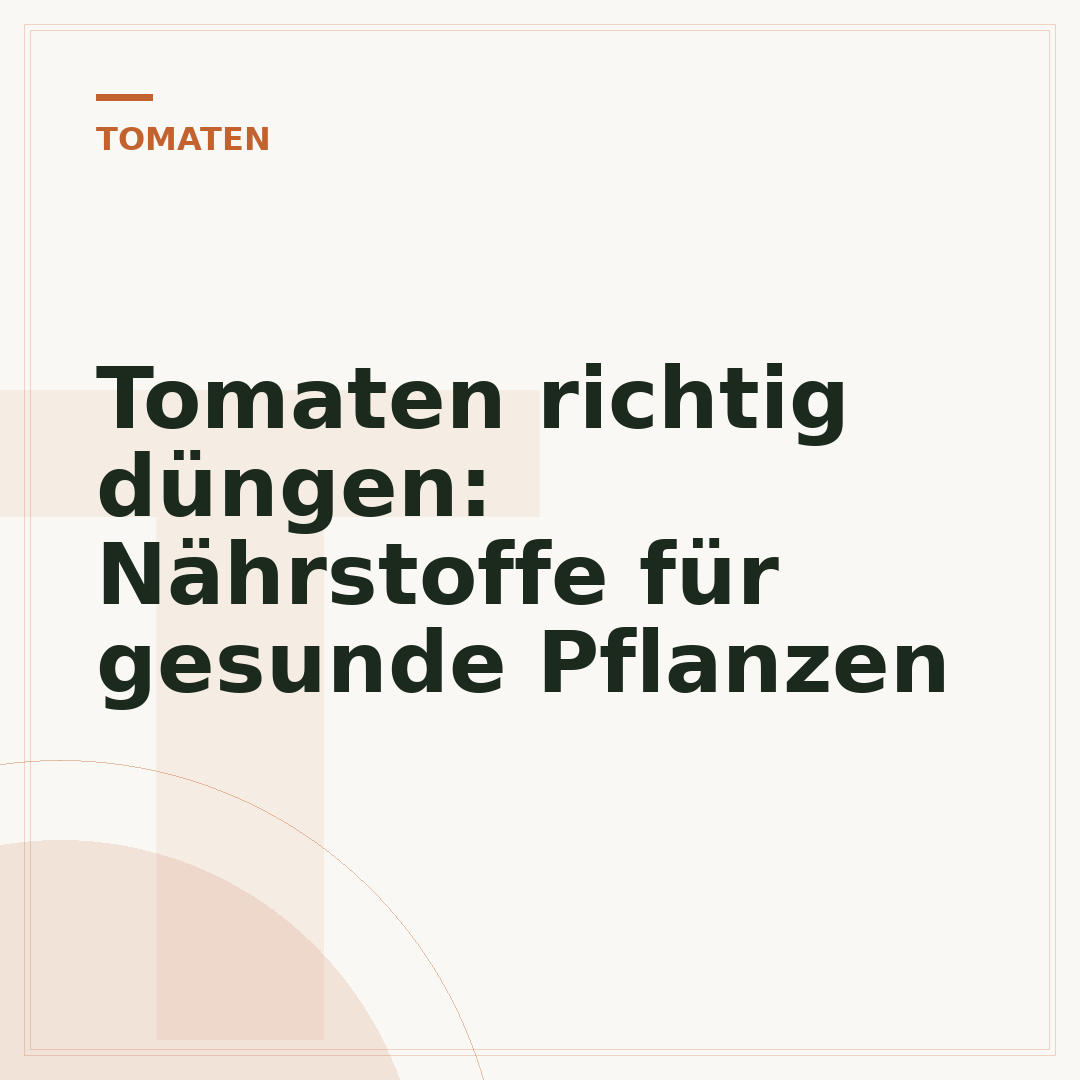 Tomaten richtig düngen: Nährstoffe für gesunde Pflanzen