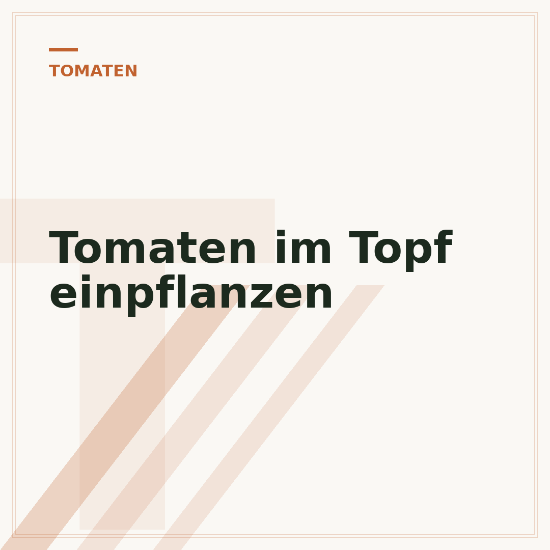 Tomaten im Topf einpflanzen