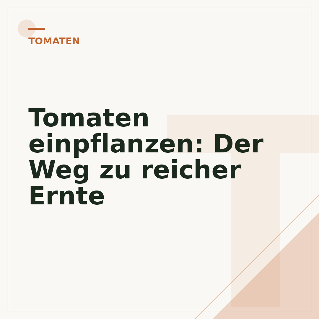 Tomaten einpflanzen: Der Weg zu reicher Ernte
