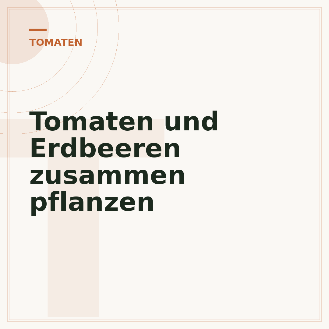 Tomaten und Erdbeeren zusammen pflanzen