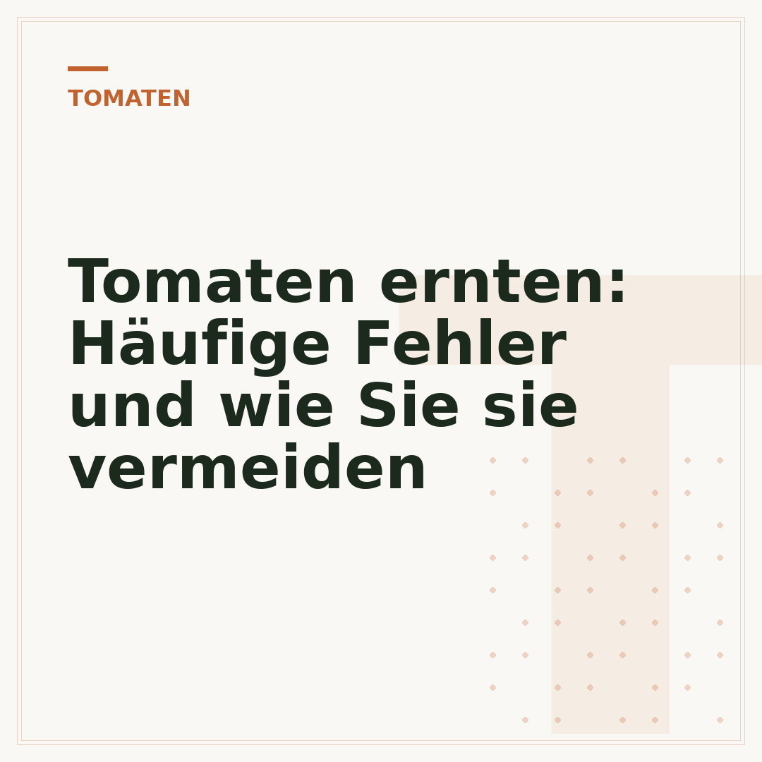 Tomaten ernten: Häufige Fehler und wie Sie sie vermeiden
