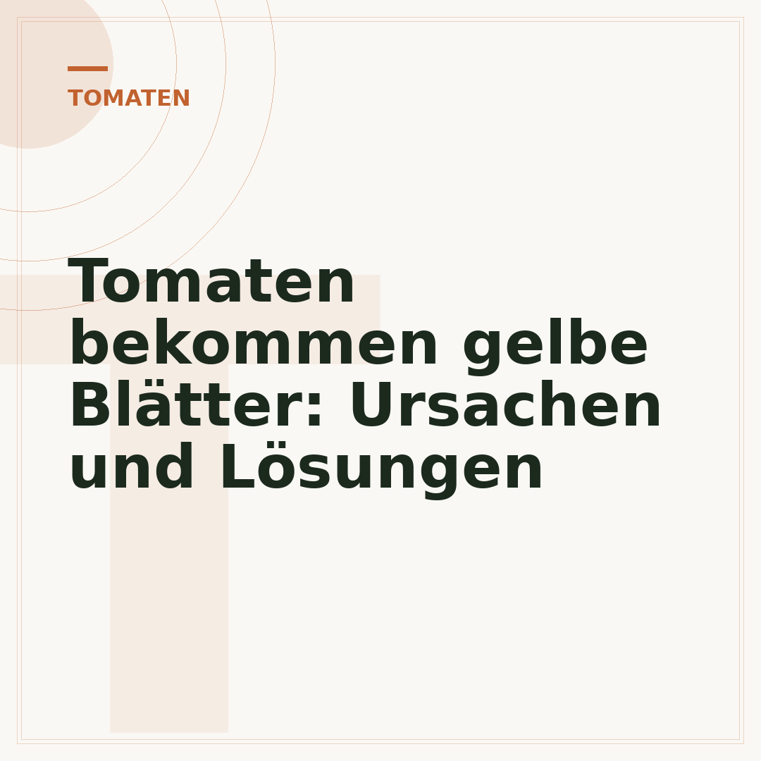 Tomaten bekommen gelbe Blätter: Ursachen und Lösungen