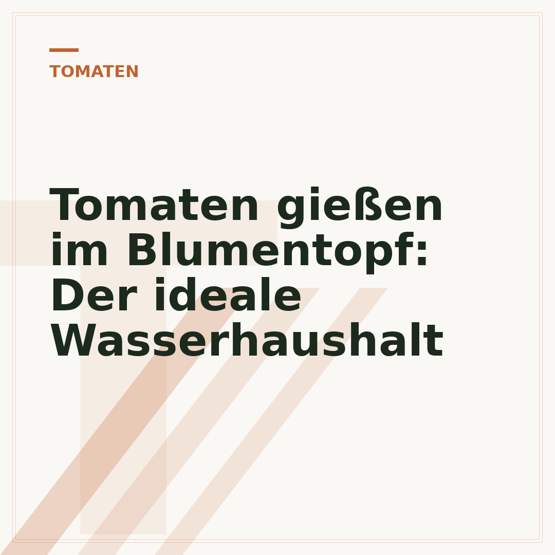 Tomaten gießen im Blumentopf: Der ideale Wasserhaushalt