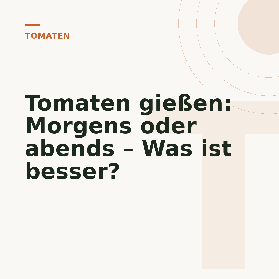 Tomaten gießen: Morgens oder abends – Was ist besser?