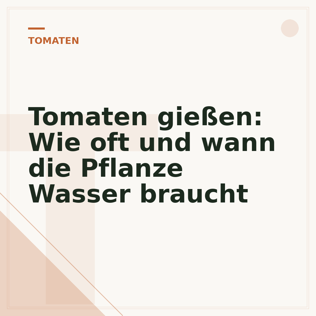 Tomaten gießen: Wie oft und wann die Pflanze Wasser braucht