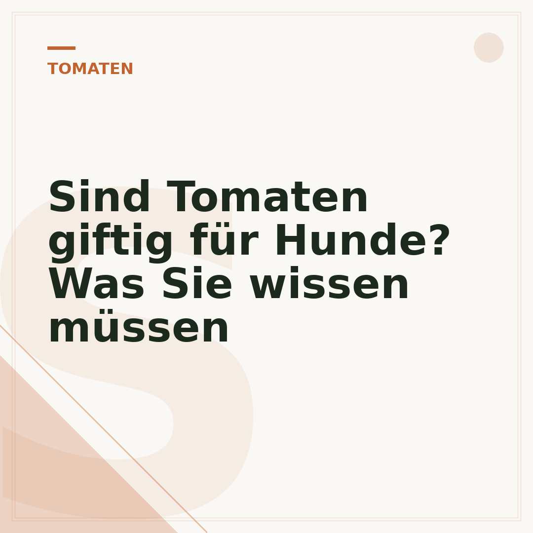 Sind Tomaten giftig für Hunde? Was Sie wissen müssen