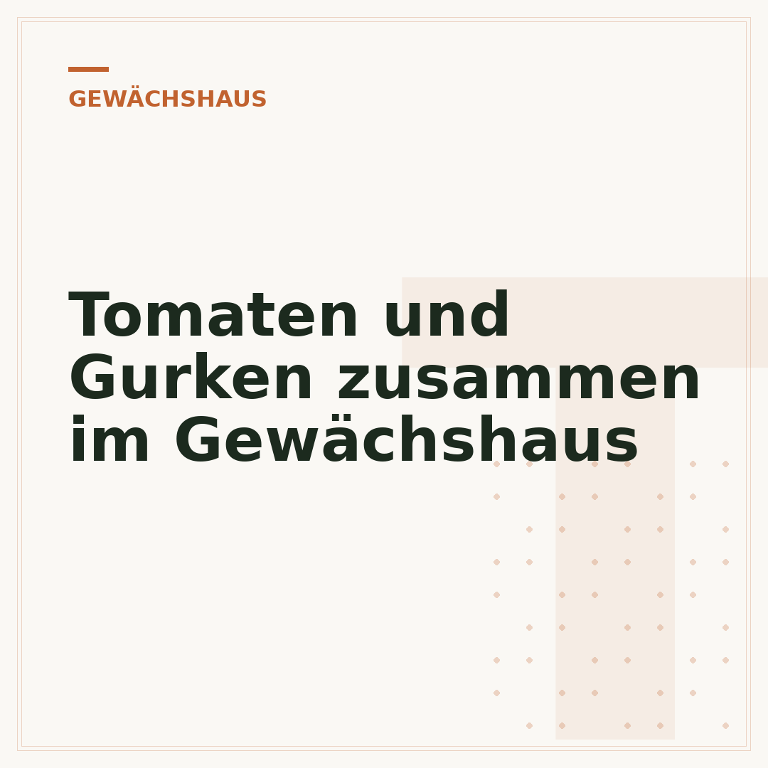 Tomaten und Gurken zusammen im Gewächshaus