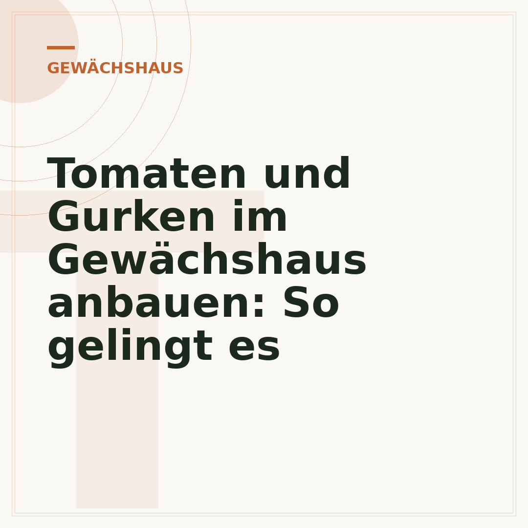Tomaten und Gurken im Gewächshaus anbauen: So gelingt es