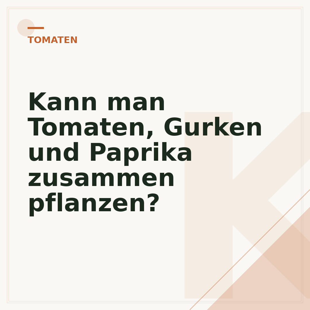 Kann man Tomaten, Gurken und Paprika zusammen pflanzen?