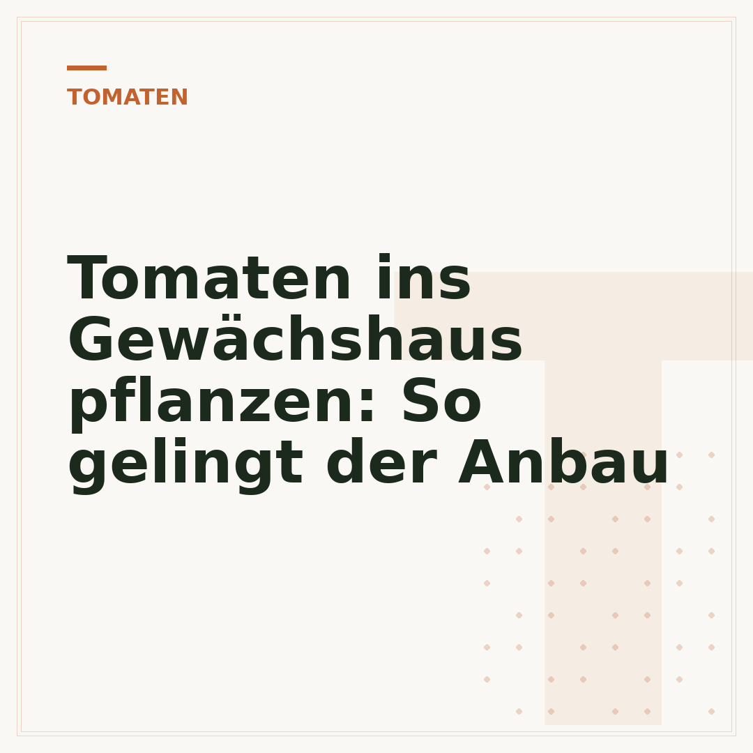 Tomaten ins Gewächshaus pflanzen: So gelingt der Anbau