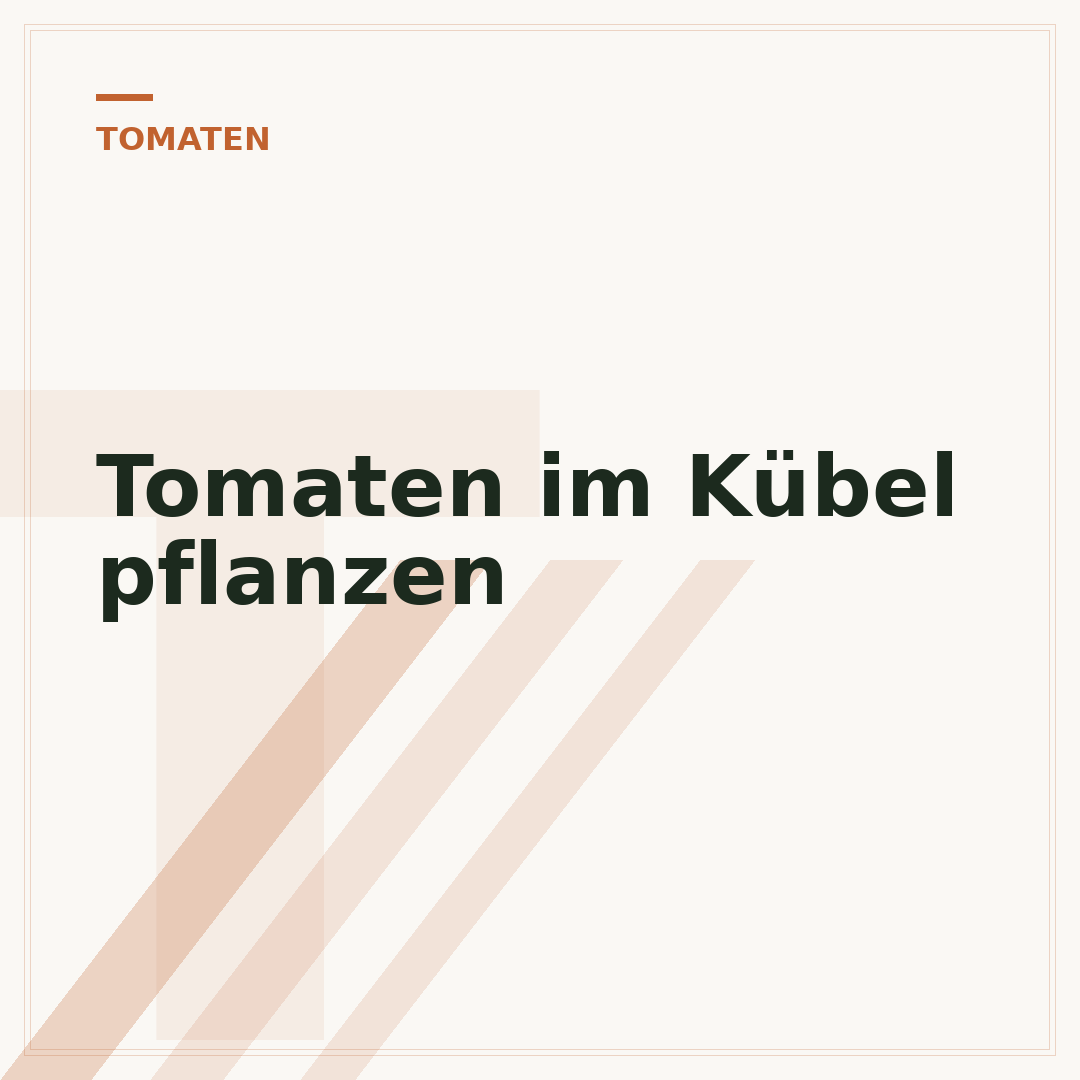 Tomaten im Kübel pflanzen