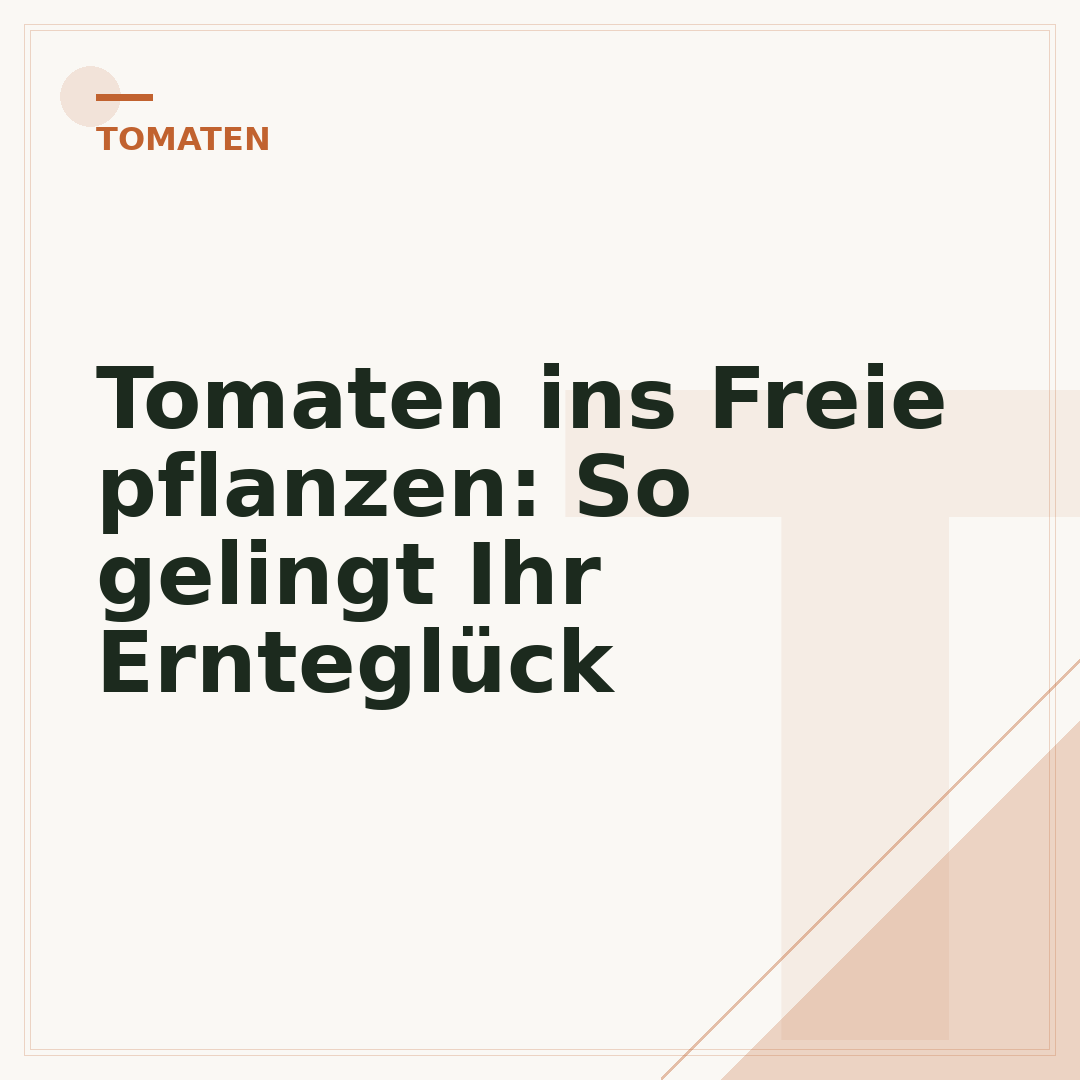 Tomaten ins Freie pflanzen: So gelingt Ihr Ernteglück