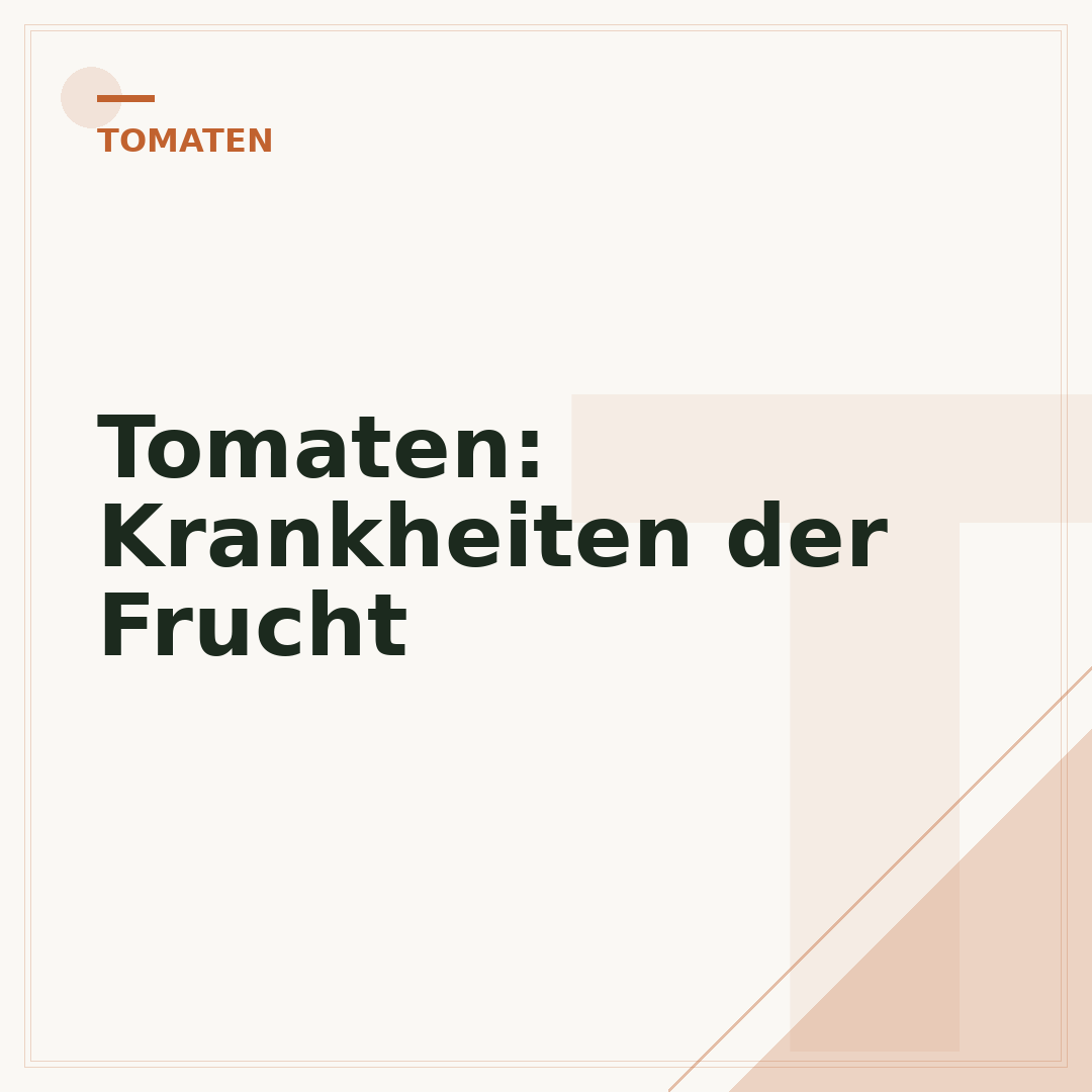 Tomaten: Krankheiten der Frucht