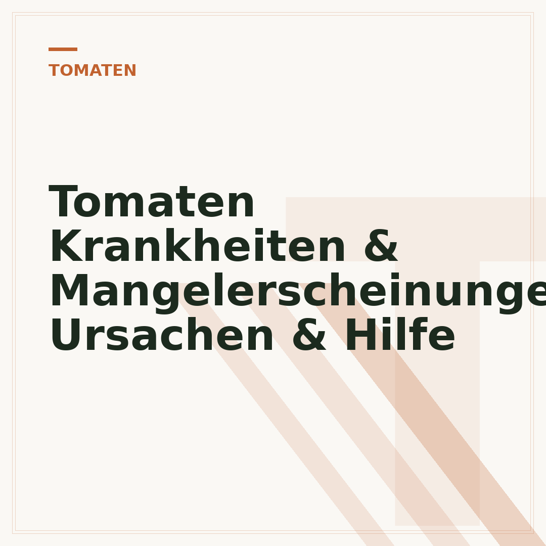 Tomaten Krankheiten & Mangelerscheinungen: Ursachen & Hilfe