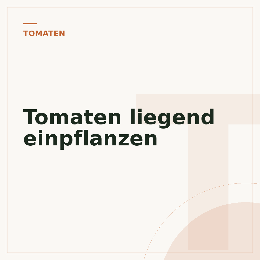 Tomaten liegend einpflanzen
