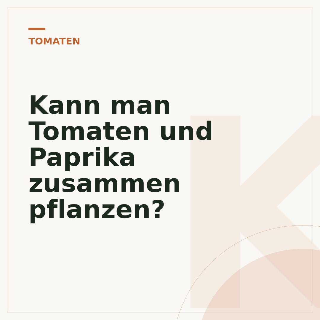 Kann man Tomaten und Paprika zusammen pflanzen?