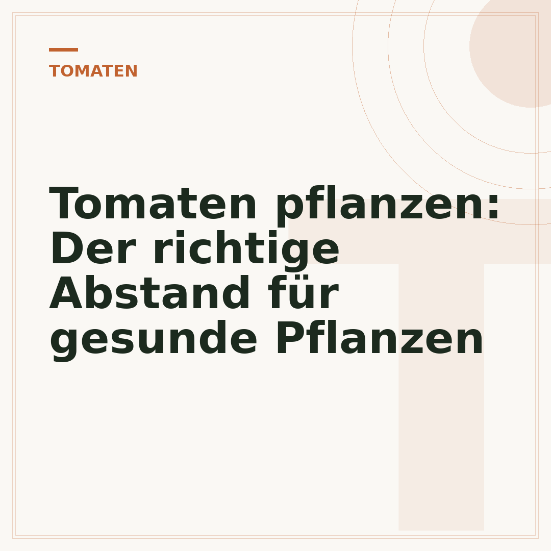 Tomaten pflanzen: Der richtige Abstand für gesunde Pflanzen