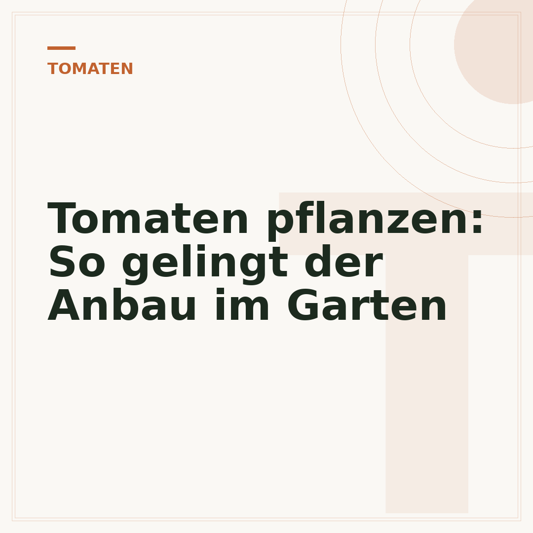 Tomaten pflanzen: So gelingt der Anbau im Garten