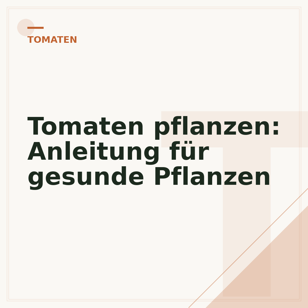 Tomaten pflanzen: Anleitung für gesunde Pflanzen