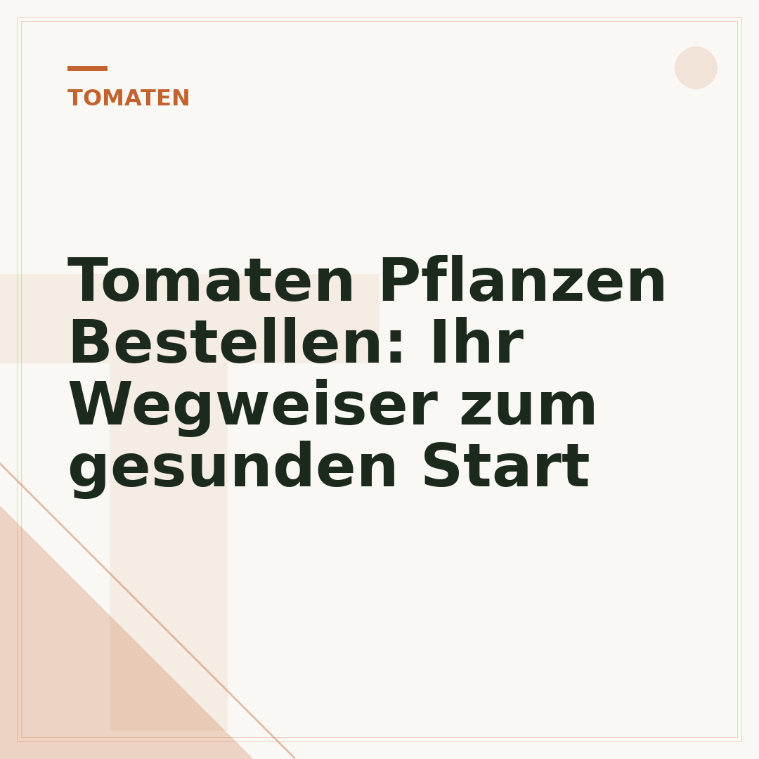 Tomaten Pflanzen Bestellen: Ihr Wegweiser zum gesunden Start