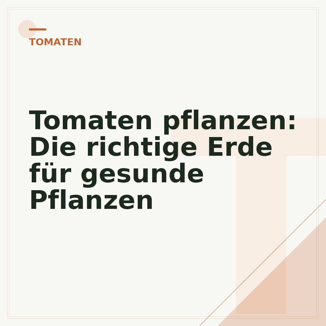 Tomaten pflanzen: Die richtige Erde für gesunde Pflanzen