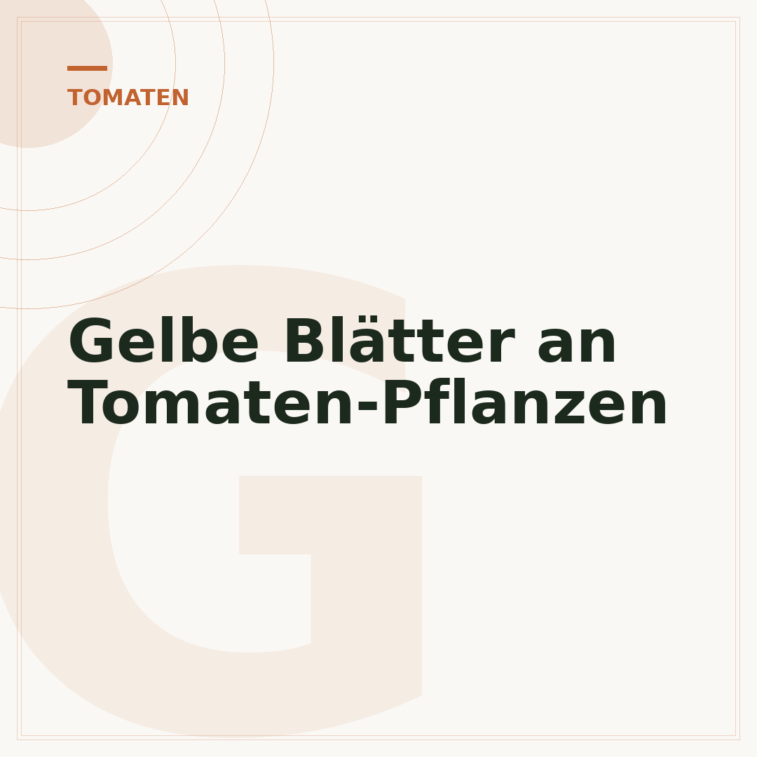 Gelbe Blätter an Tomaten-Pflanzen