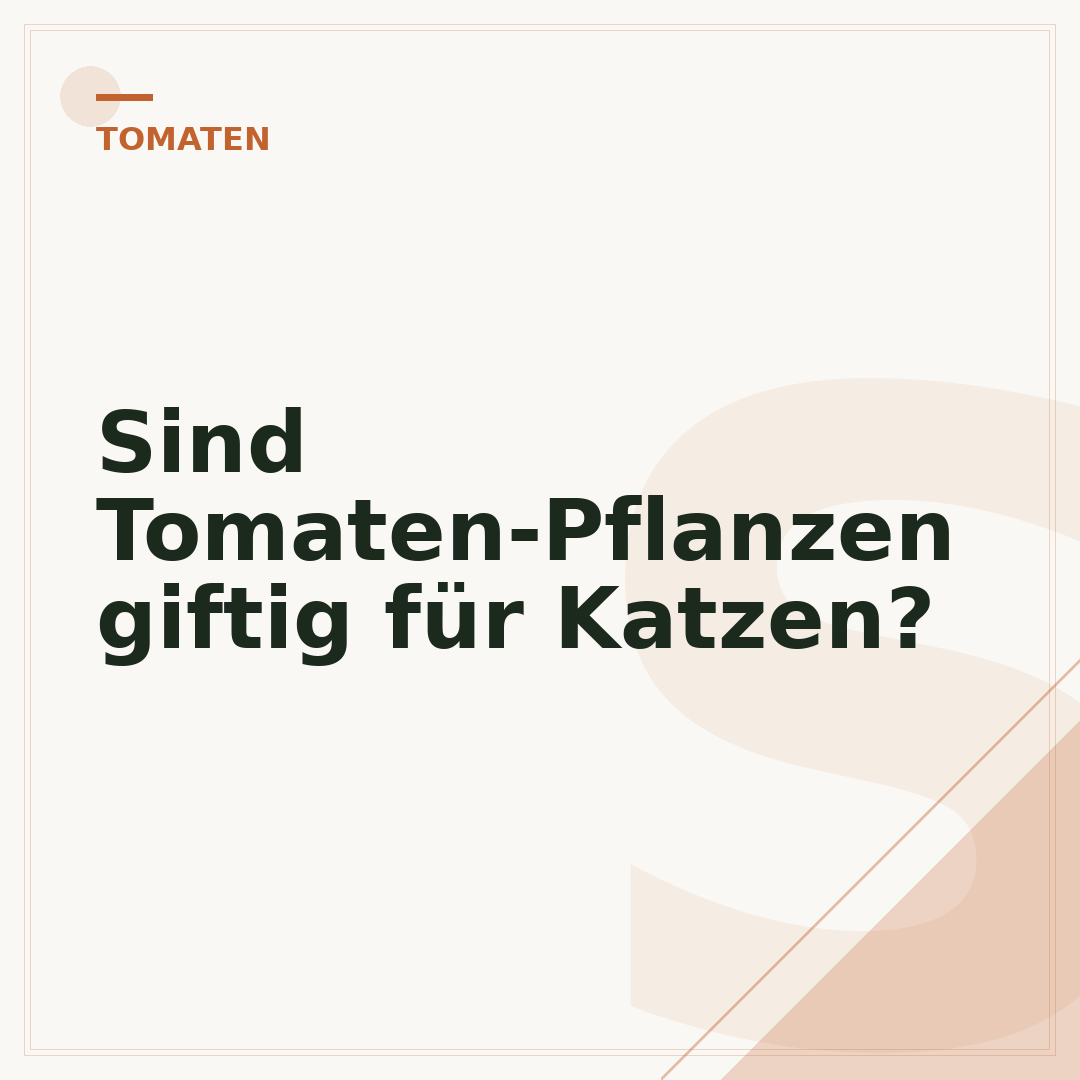 Sind Tomaten-Pflanzen giftig für Katzen?
