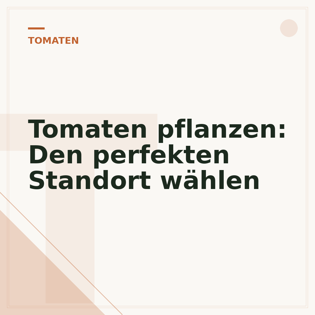 Tomaten pflanzen: Den perfekten Standort wählen