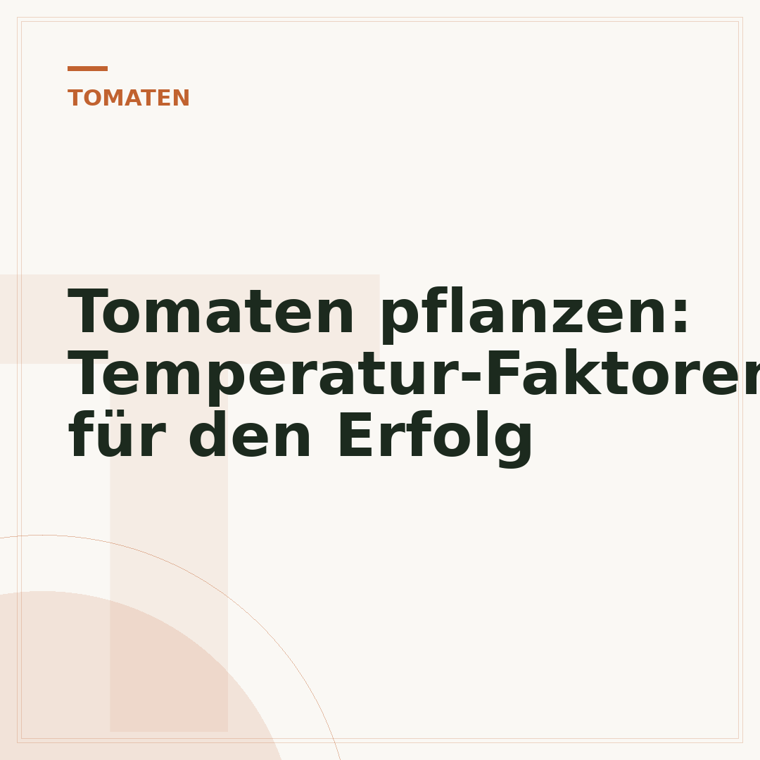 Tomaten pflanzen: Temperatur-Faktoren für den Erfolg