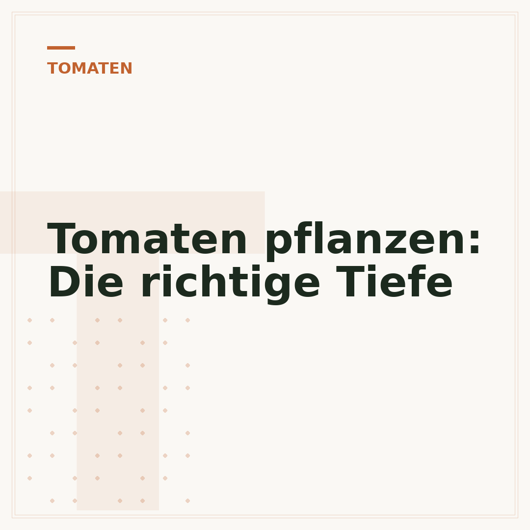 Tomaten pflanzen: Die richtige Tiefe
